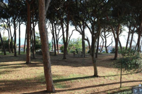 Maremma Holidays - Lamarmora Apartment Follonica